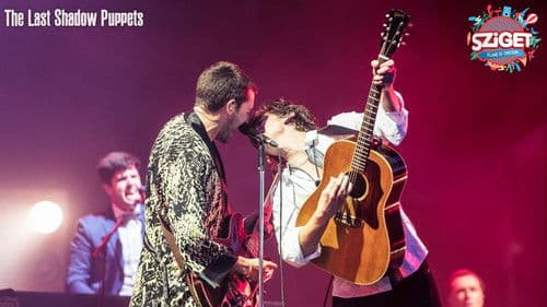 The Last Shadow Puppets at Sziget Festival Bild 1