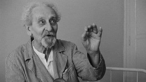 Perlen auf dem Meeresgrund Bild 2