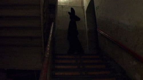 More Things That Happened Bild 4