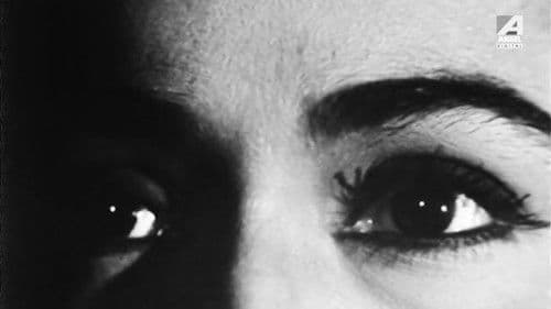 ডাইনী Bild 5