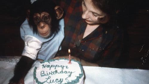 Lucy the Human Chimp Bild 3