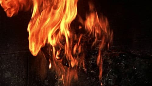 Das Grauen schleicht durch Tokio Bild 6