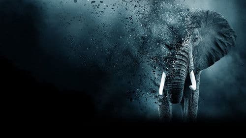 The Ivory Game: Das Elfenbein-Komplott Bild 1