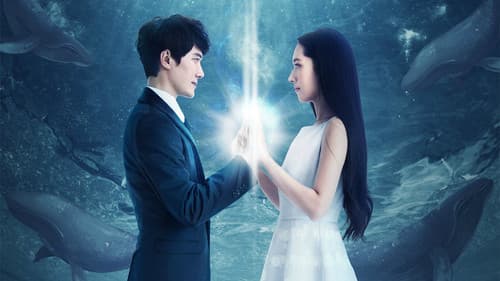 那片星空那片海 Bild 2