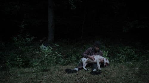 Koko-di Koko-da Bild 3