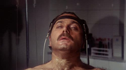 Kennwort: Salamander Bild 3