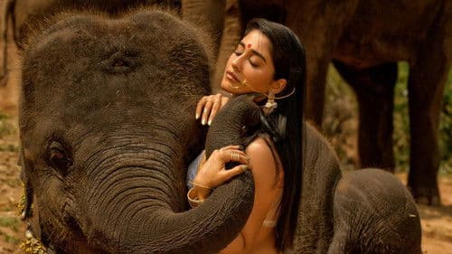 నక్షత్రం Bild 3