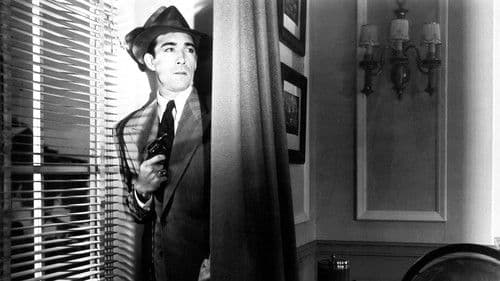 Ladies of Washington Bild 2