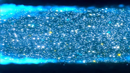 The Meaning of Life Bild 8