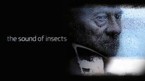 Das Summen der Insekten Bild 4