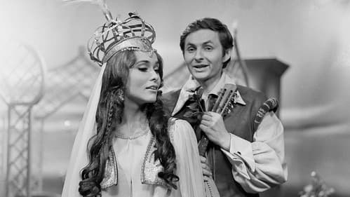 O hradu Zásadce a turecké vojně Bild 1