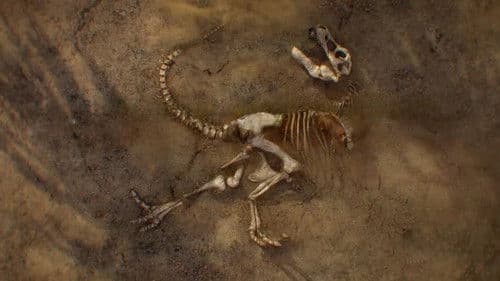 Lost Beasts - Riesen der Urzeit Bild 1