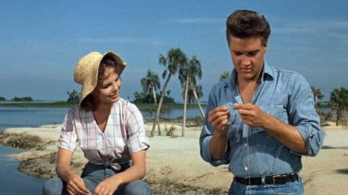 Ein Sommer in Florida Bild 3