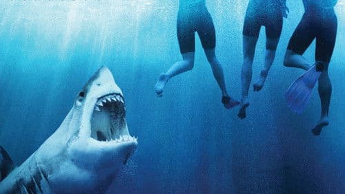 The Reef - Schwimm um dein Leben Bild 3