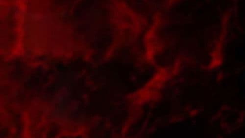 Bathtub Shark Attack Bild 1