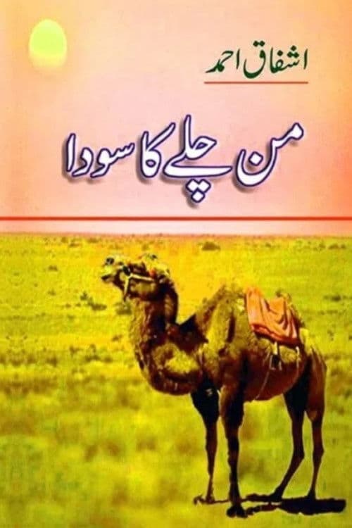 Mann Chalay Ka Sauda