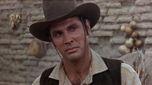 Goldtransport durch Arizona Bild 8