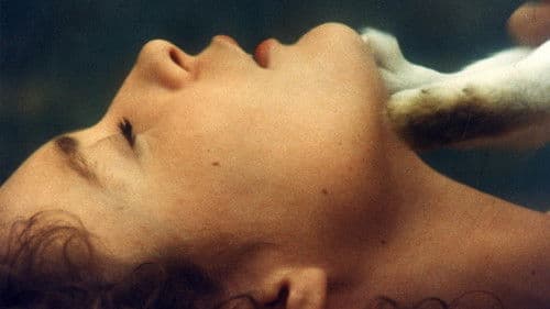 Unmoralische Engel Bild 1