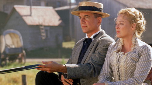 Der Ritt nach Hause Bild 3