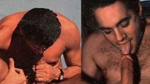 Auto Fellatio 3 Bild 1