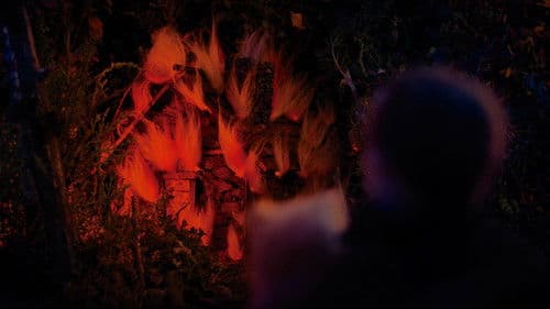 La pena no duerme de noche Bild 2