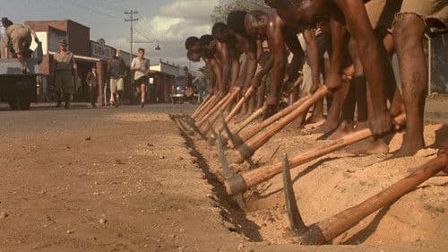 Im Glanz der Sonne Bild 3