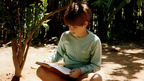 Mein kleiner Orangenbaum Bild 2