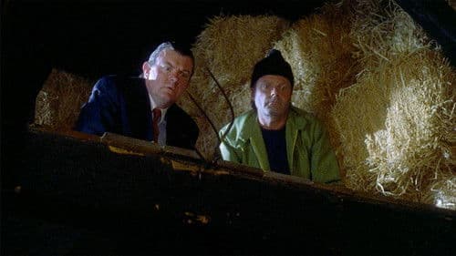 Krümel im Chaos Bild 2