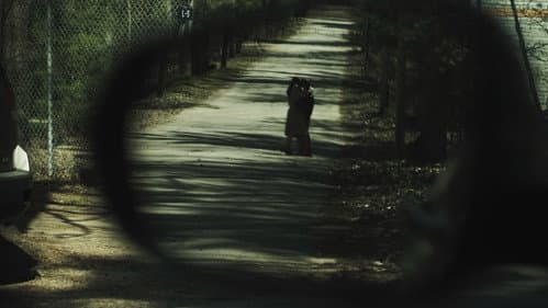 Sight of the Fact Bild 1