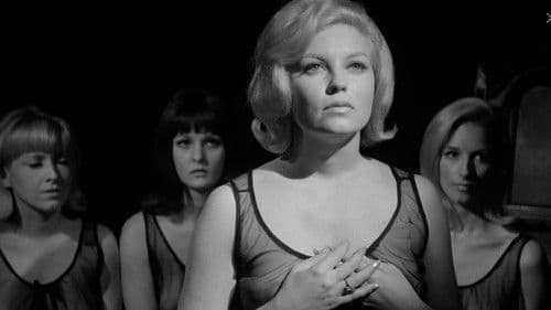 Red Roses of Passion Bild 4