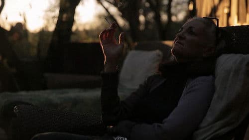 Observar las aves Bild 1