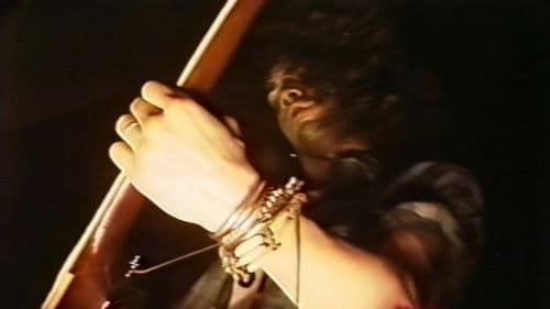 Guns N' Roses:  Live In Oklahoma City Bild 2