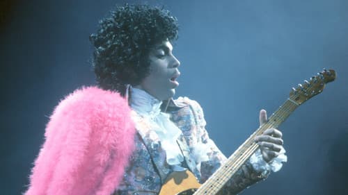 Prince and the Revolution: Live Bild 1