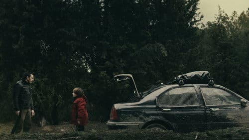 Fase terminal Bild 4