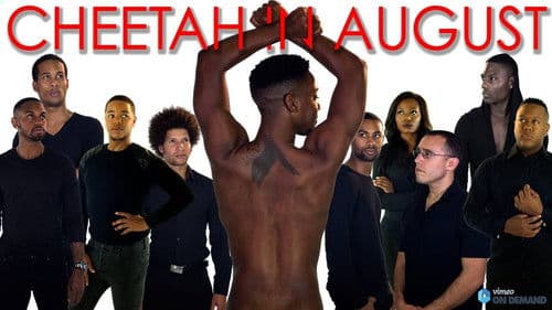 Cheetah in August Bild 1