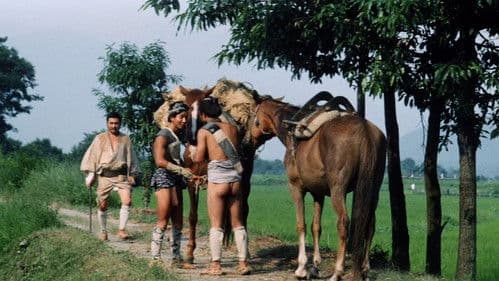 The Festival of Fire Bild 7