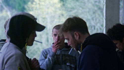 Hablo dėsnis Bild 1