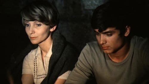 Begegnung im Juli Bild 1