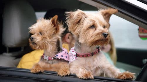 Four Seasons in a Day Bild 1