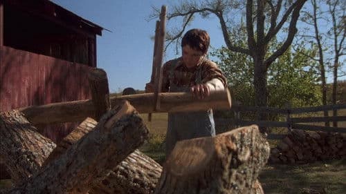 Wo der rote Farn wächst Bild 5