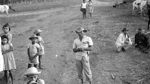 Maioria absoluta Bild 2