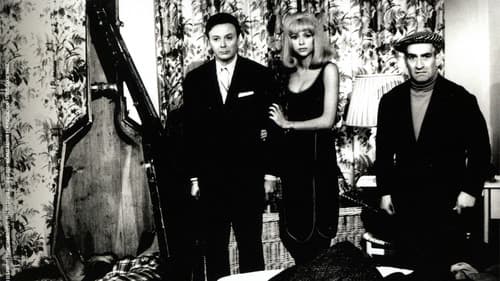 Radieschen von unten Bild 2