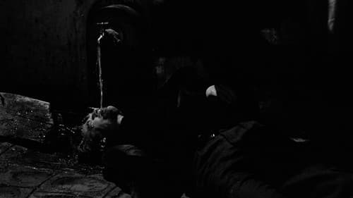 Der Kampf auf der Insel Bild 7