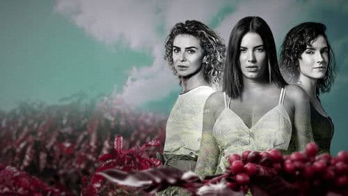 Jugar con fuego Bild 3