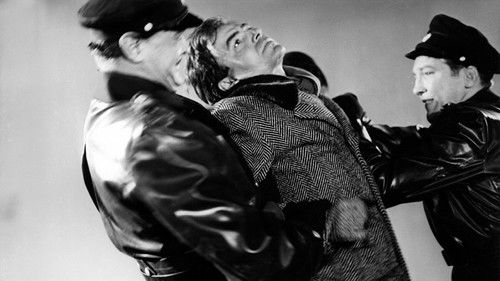 Gefährlicher Urlaub Bild 8