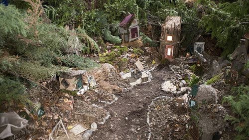 Forest Fairies Bild 5