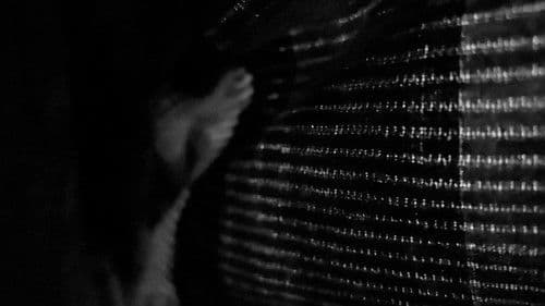 The Silent Oath Bild 1