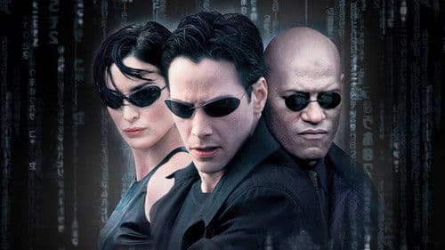 Matrix Bild 5