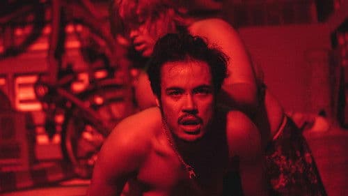 XConfessions 15 Bild 3