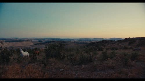 Corpo dei giorni Bild 4